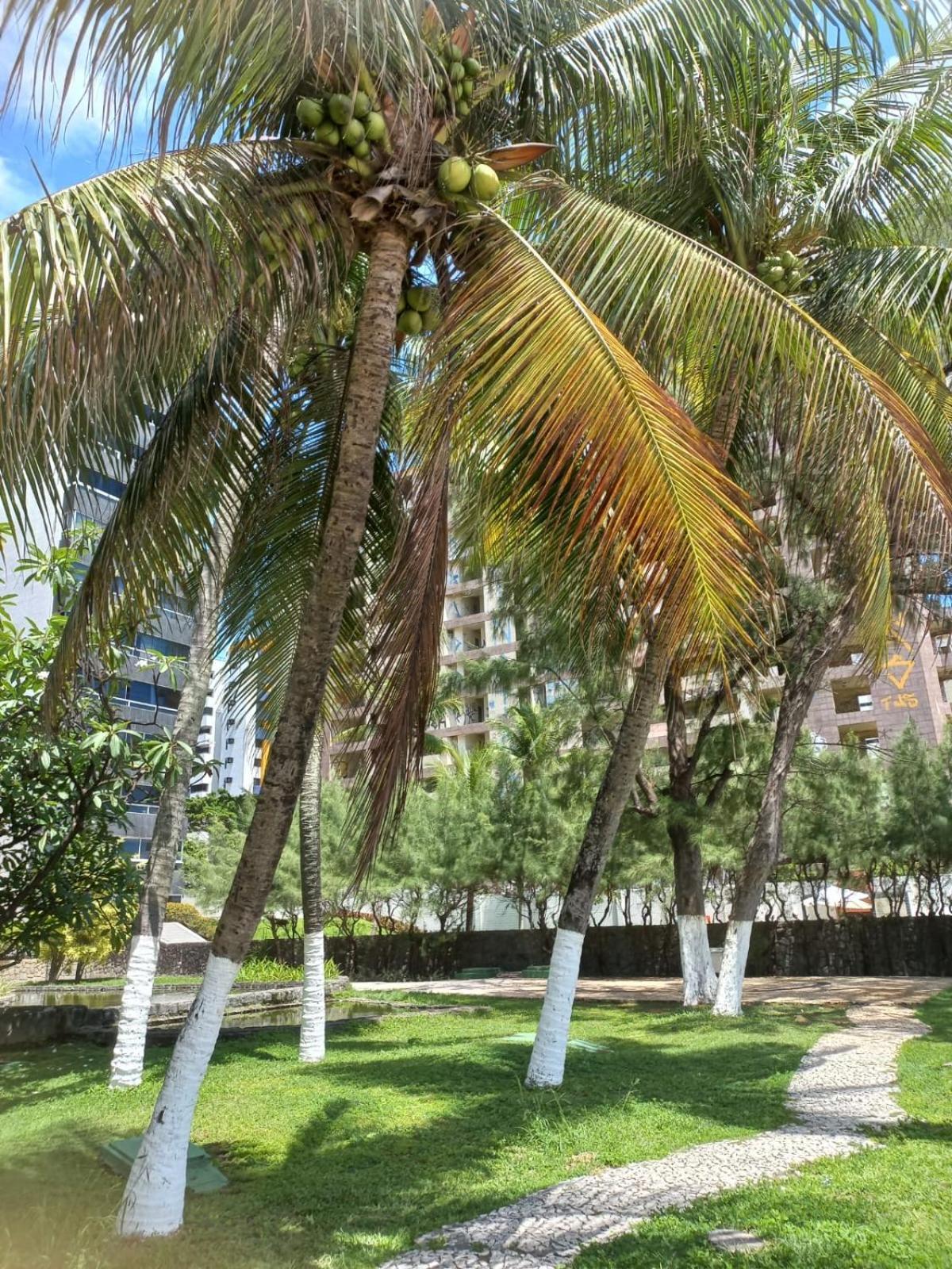 Golden Beach Flat Na Praia Piedade Jaboatao dos Guararapes Bagian luar foto